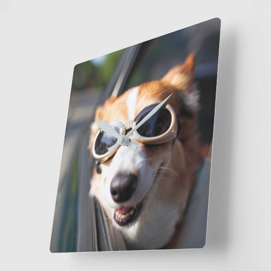 最も可愛い赤ん坊の動物 | Corgi Goggles in the Car スクエア壁時計 (傾斜)