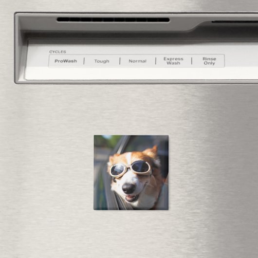 最も可愛い赤ん坊の動物 | Corgi Goggles in the Car マグネット (インサイチュ (食洗機))