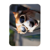 最も可愛い赤ん坊の動物 | Corgi Goggles in the Car マグネット (縦)