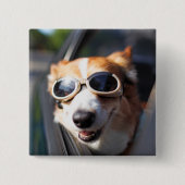 最も可愛い赤ん坊の動物 | Corgi Goggles in the Car 缶バッジ (正面)