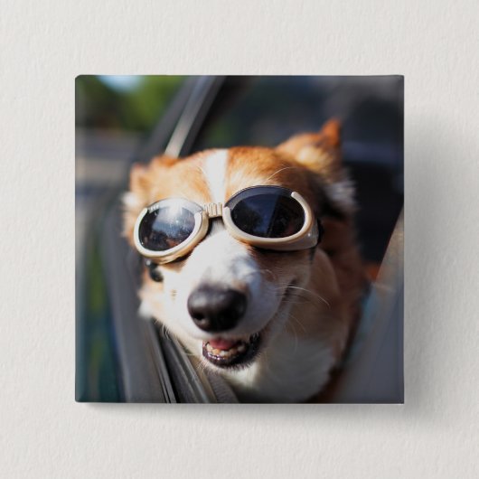最も可愛い赤ん坊の動物 | Corgi Goggles in the Car 缶バッジ (正面)