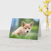 最も可愛い赤ん坊の動物 Corgi Puppy in the Yard カード (黄色い花)