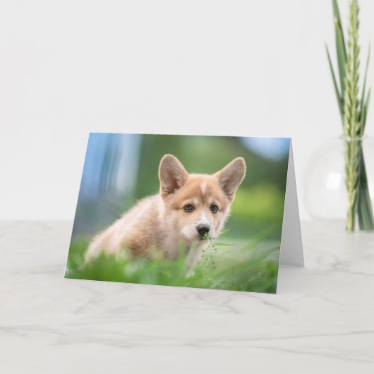 最も可愛い赤ん坊の動物 Corgi Puppy in the Yard カード (正面)