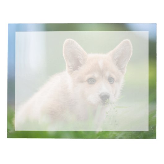最も可愛い赤ん坊の動物 Corgi Puppy in the Yard ノートパッド (正面)