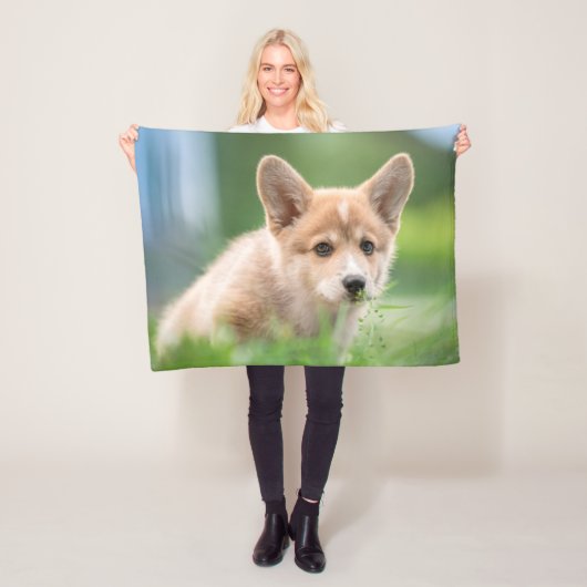 最も可愛い赤ん坊の動物 Corgi Puppy in the Yard フリースブランケット (インサイチュ)