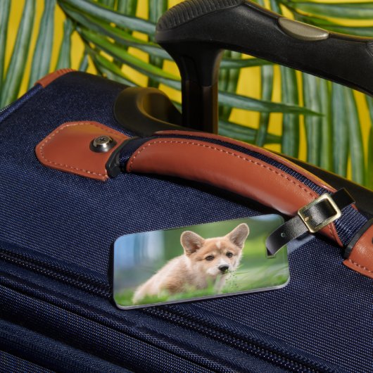 最も可愛い赤ん坊の動物 Corgi Puppy in the Yard ラゲッジタグ (正面インサイチュ3)