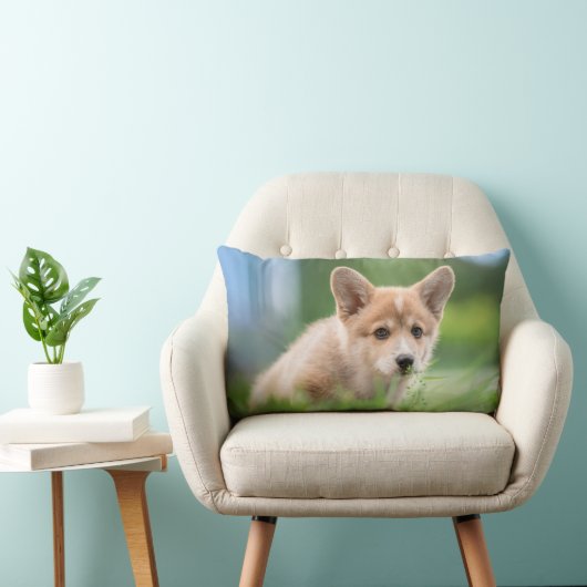 最も可愛い赤ん坊の動物 Corgi Puppy in the Yard ランバークッション (椅子)