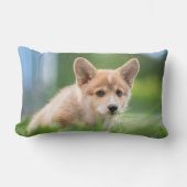 最も可愛い赤ん坊の動物 Corgi Puppy in the Yard ランバークッション (正面)