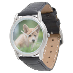 最も可愛い赤ん坊の動物 Corgi Puppy in the Yard 腕時計
