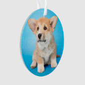 最も可愛い赤ん坊の動物 | Corgi Puppy on Blue オーナメント (正面)
