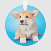 最も可愛い赤ん坊の動物 | Corgi Puppy on Blue オーナメント (正面)