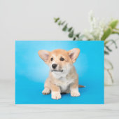 最も可愛い赤ん坊の動物 | Corgi Puppy on Blue サンキューカード (スタンド正面)