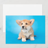 最も可愛い赤ん坊の動物 | Corgi Puppy on Blue サンキューカード (正面/裏面)