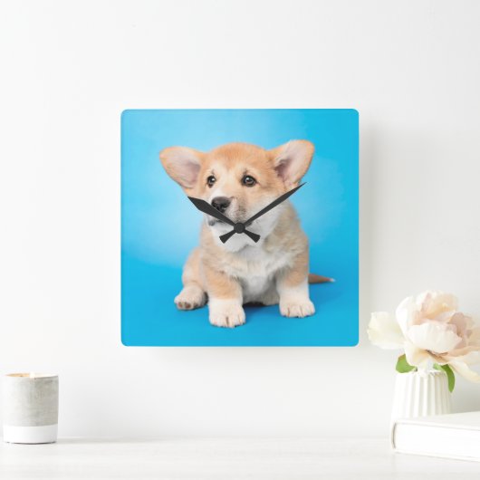 最も可愛い赤ん坊の動物 | Corgi Puppy on Blue スクエア壁時計 (ホーム)
