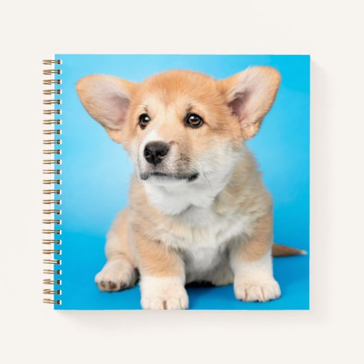 最も可愛い赤ん坊の動物 | Corgi Puppy on Blue ノートブック (正面)