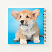 最も可愛い赤ん坊の動物 | Corgi Puppy on Blue ノートブック (裏面)