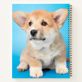 最も可愛い赤ん坊の動物 | Corgi Puppy on Blue ノートブック (裏面)