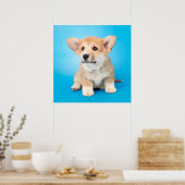 最も可愛い赤ん坊の動物 | Corgi Puppy on Blue ポスター (キッチン)