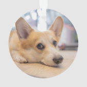 最も可愛い赤ん坊の動物 Corgi Puppy on Floor オーナメント (裏面)