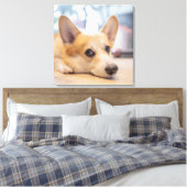 最も可愛い赤ん坊の動物 Corgi Puppy on Floor キャンバスプリント (インサイチュ (寝室))