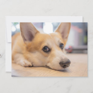 最も可愛い赤ん坊の動物 Corgi Puppy on Floor サンキューカード