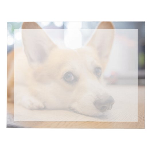 最も可愛い赤ん坊の動物 Corgi Puppy on Floor ノートパッド (正面)