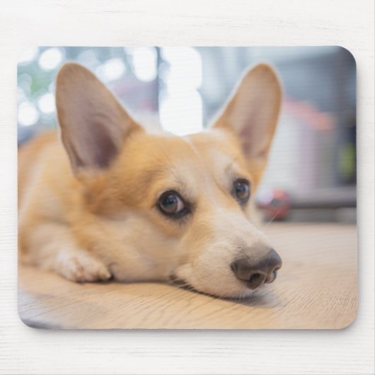 最も可愛い赤ん坊の動物 Corgi Puppy on Floor マウスパッド (正面)