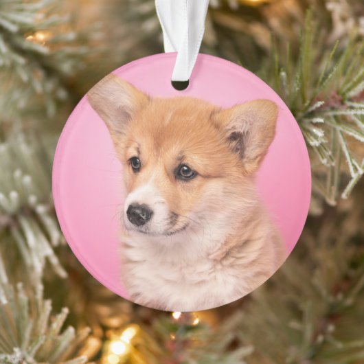 最も可愛い赤ん坊の動物 | Corgi Puppy on Pink オーナメント (ツリー)
