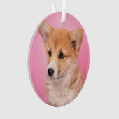 最も可愛い赤ん坊の動物 | Corgi Puppy on Pink オーナメント (正面)