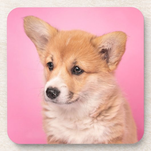 最も可愛い赤ん坊の動物 | Corgi Puppy on Pink コースター (正面)