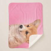 最も可愛い赤ん坊の動物 | Corgi Puppy on Pink シェルパブランケット (正面)