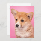 最も可愛い赤ん坊の動物 | Corgi Puppy on Pink ポストカード (正面/裏面)