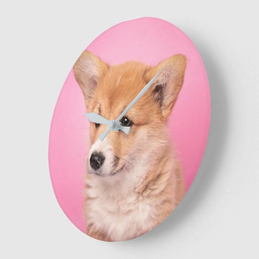 最も可愛い赤ん坊の動物 | Corgi Puppy on Pink ラージ壁時計 (傾斜)