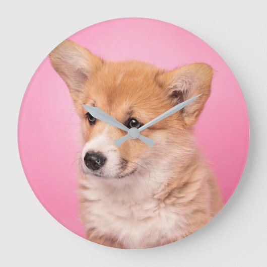 最も可愛い赤ん坊の動物 | Corgi Puppy on Pink ラージ壁時計 (正面)
