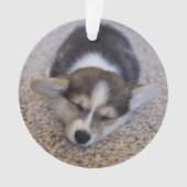 最も可愛い赤ん坊の動物 | Corgi Puppy on Shag Rug オーナメント (正面)