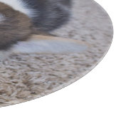 最も可愛い赤ん坊の動物 | Corgi Puppy on Shag Rug カッティングボード (角)