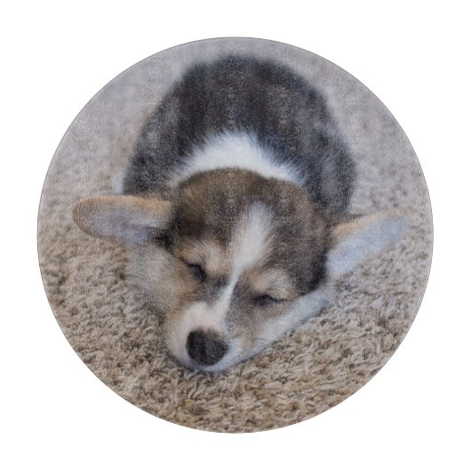 最も可愛い赤ん坊の動物 | Corgi Puppy on Shag Rug カッティングボード (正面)