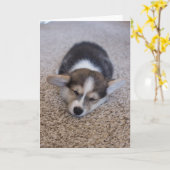 最も可愛い赤ん坊の動物 | Corgi Puppy on Shag Rug カード (黄色い花)