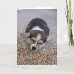 最も可愛い赤ん坊の動物 Corgi Puppy on Shag Rug カード