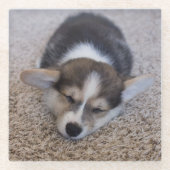 最も可愛い赤ん坊の動物 | Corgi Puppy on Shag Rug ガラスコースター (正面)