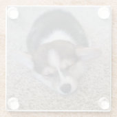 最も可愛い赤ん坊の動物 | Corgi Puppy on Shag Rug ガラスコースター (裏面)