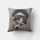 最も可愛い赤ん坊の動物 | Corgi Puppy on Shag Rug クッション (裏面)