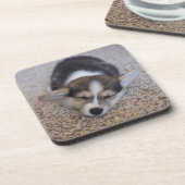 最も可愛い赤ん坊の動物 | Corgi Puppy on Shag Rug コースター (左側)