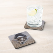 最も可愛い赤ん坊の動物 | Corgi Puppy on Shag Rug コースター (右側)