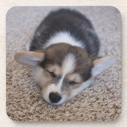 最も可愛い赤ん坊の動物 | Corgi Puppy on Shag Rug コースター (正面)