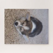 最も可愛い赤ん坊の動物 | Corgi Puppy on Shag Rug ジグソーパズル (横)