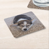 最も可愛い赤ん坊の動物 | Corgi Puppy on Shag Rug スクエアペーパーコースター (アングル)