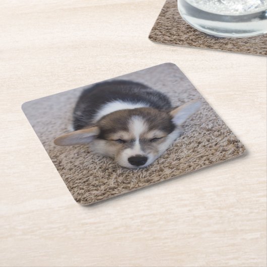 最も可愛い赤ん坊の動物 | Corgi Puppy on Shag Rug スクエアペーパーコースター (アングル)