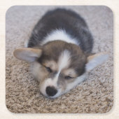 最も可愛い赤ん坊の動物 | Corgi Puppy on Shag Rug スクエアペーパーコースター (正面)