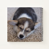 最も可愛い赤ん坊の動物 | Corgi Puppy on Shag Rug ノートブック (裏面)